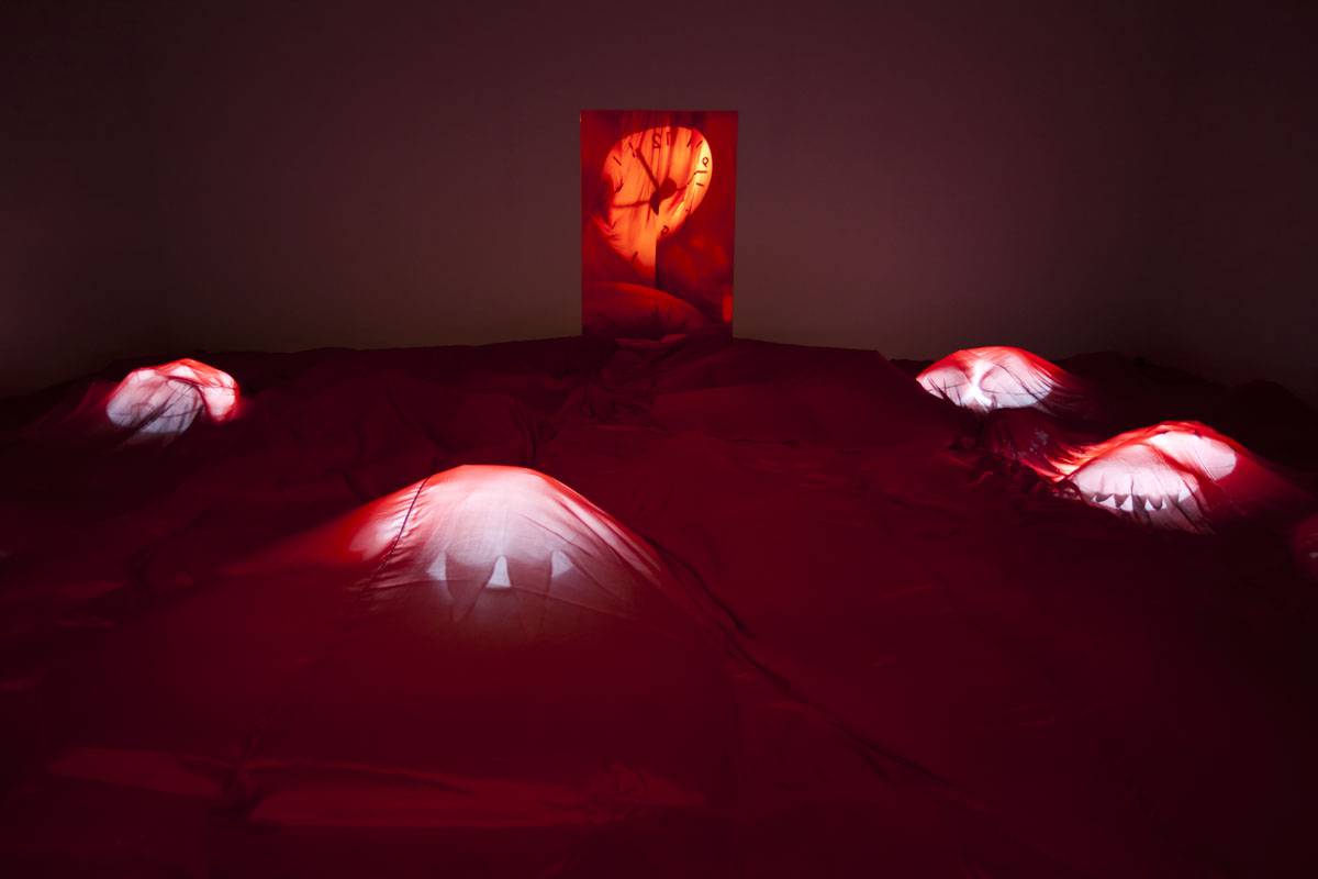 Annette Messager: life enlarged | Stories & ideas | MCA Australia