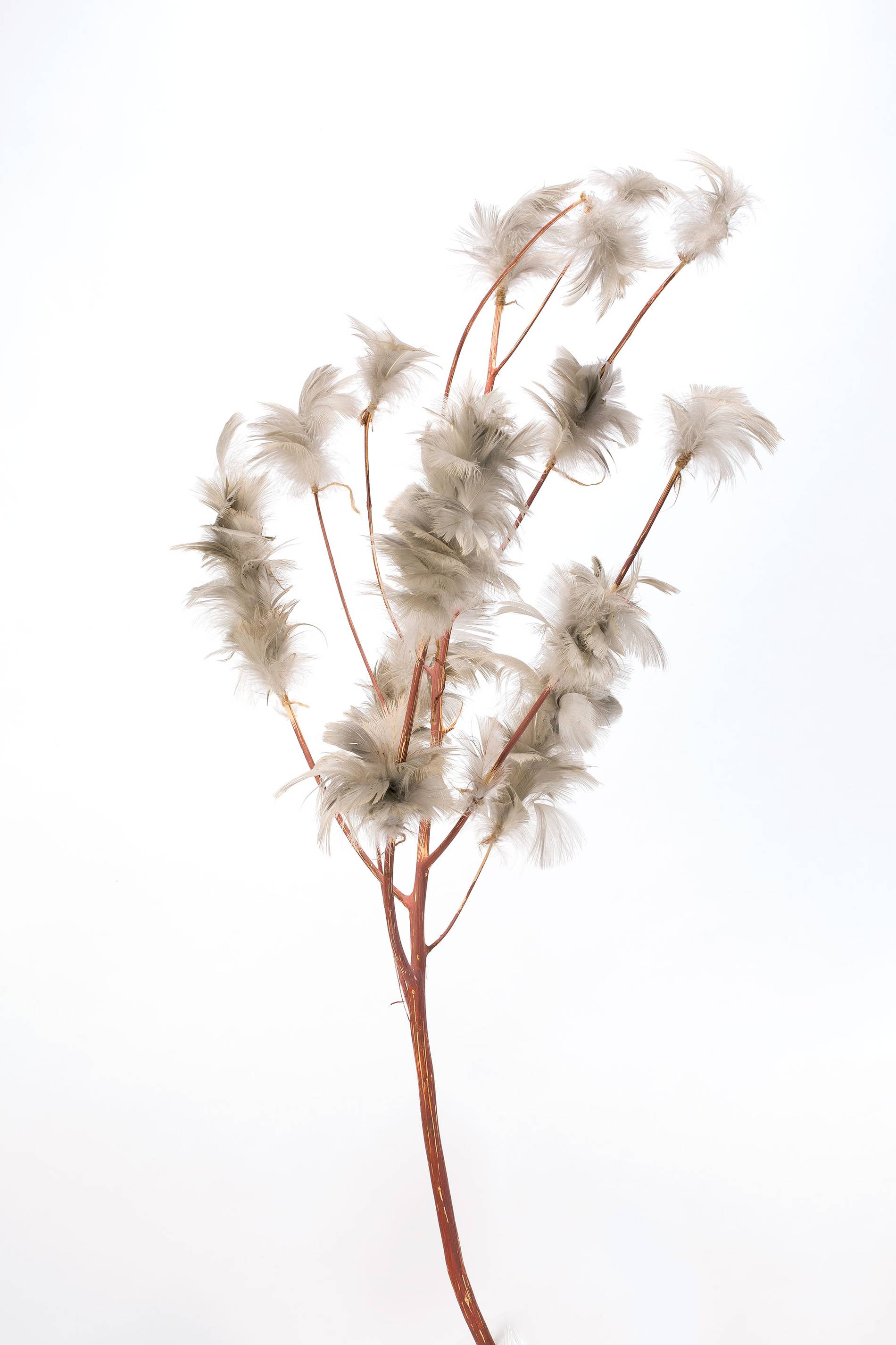 feather tree, brolga feathers and ochre) by Lena Yarinkura MCA Australia