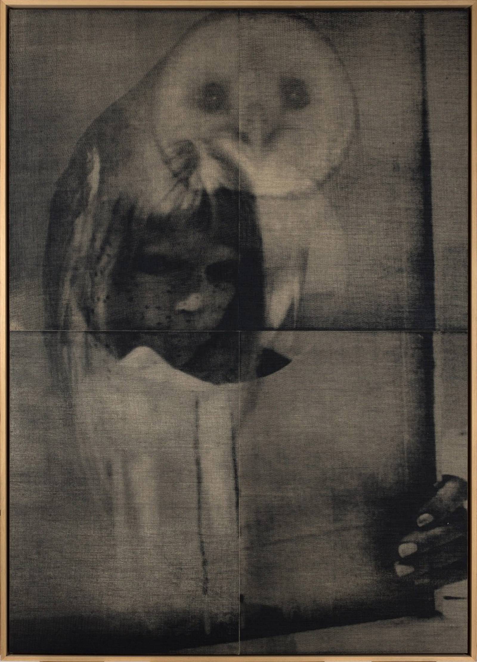 David noonan アーティスト　作品集　ビジュアルアート David noonan アーティスト 作品集 ビジュアルアート David