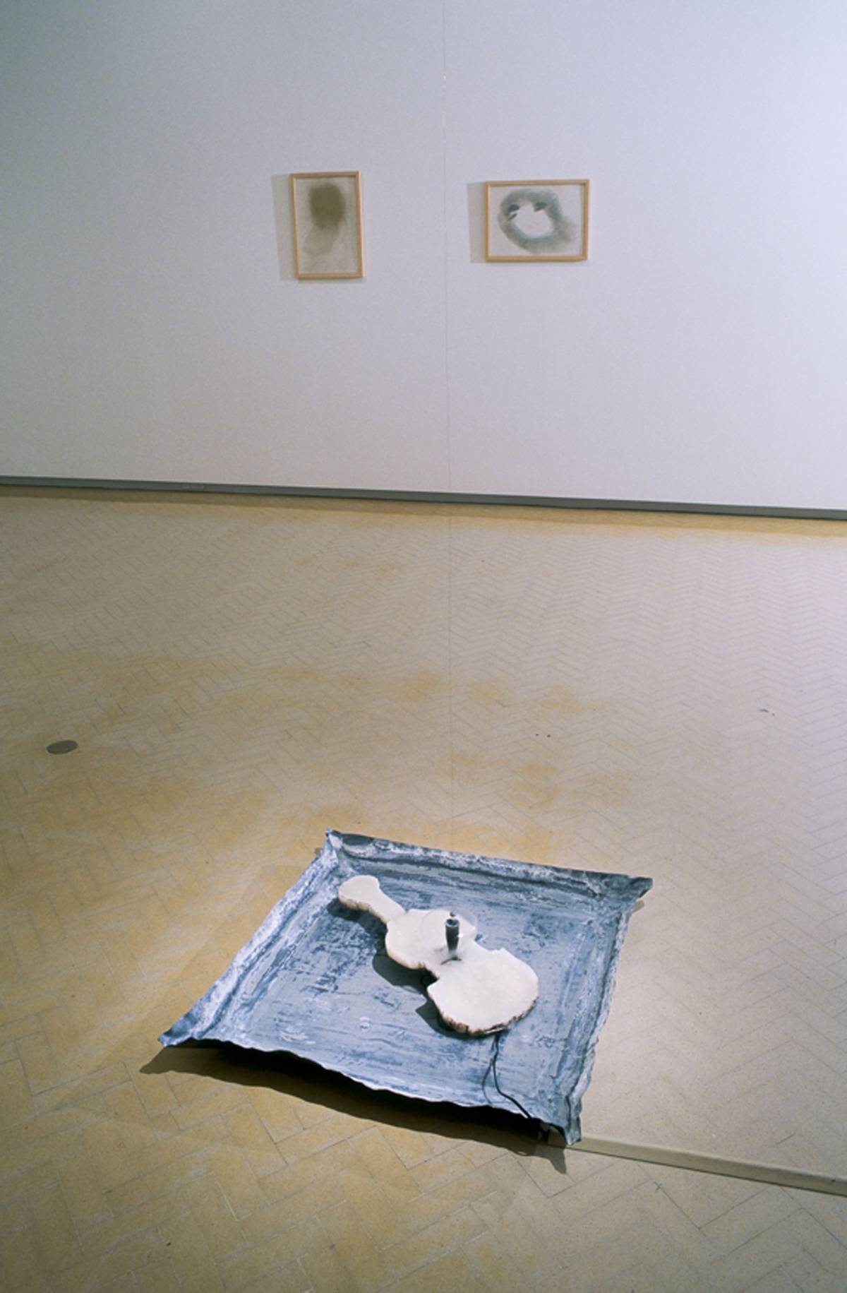 Arte Povera Art From Italy 1967-2002 | Exhibitions | MCA Australia