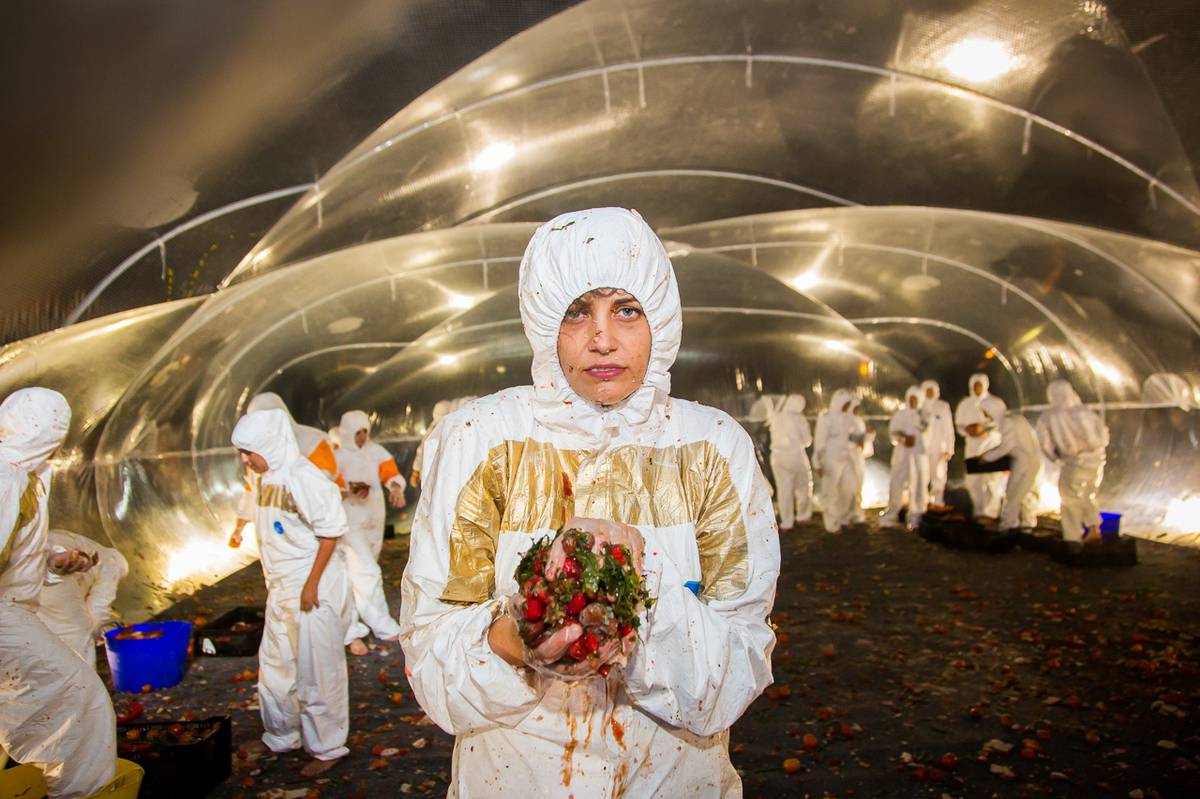 Food Fight The Battle for Food Security (2016) Stories & ideas MCA