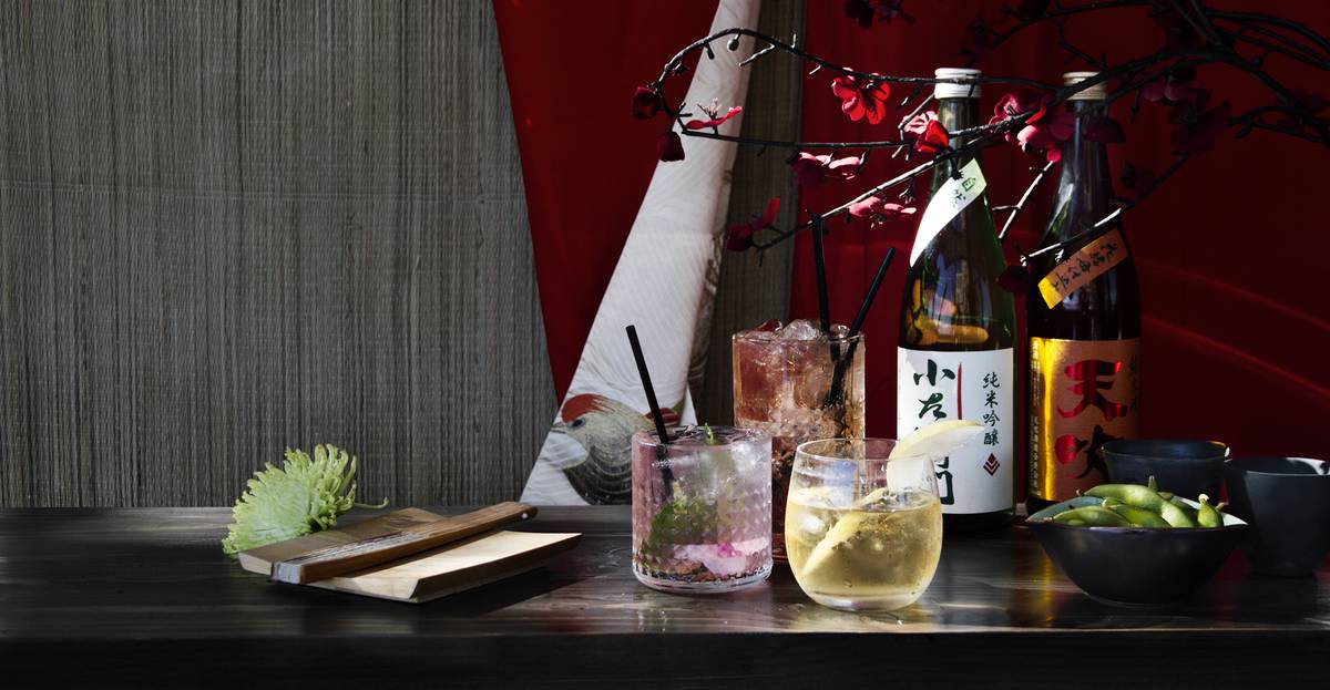 A taste of Tokyo comes to Circular Quay at the MCA’s Cherry Blossom Bar Media office MCA