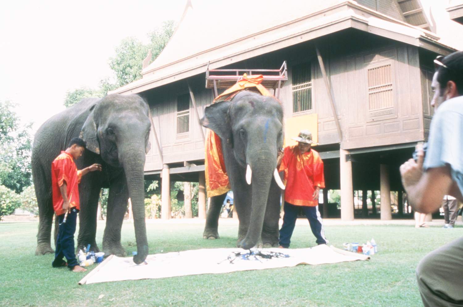 Fucking my young teenage son