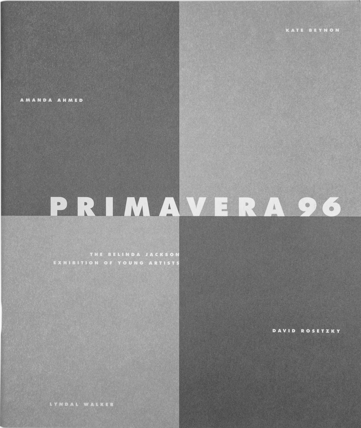 Primavera 1996: Young Australian Artists | Exhibitions | MCA Australia