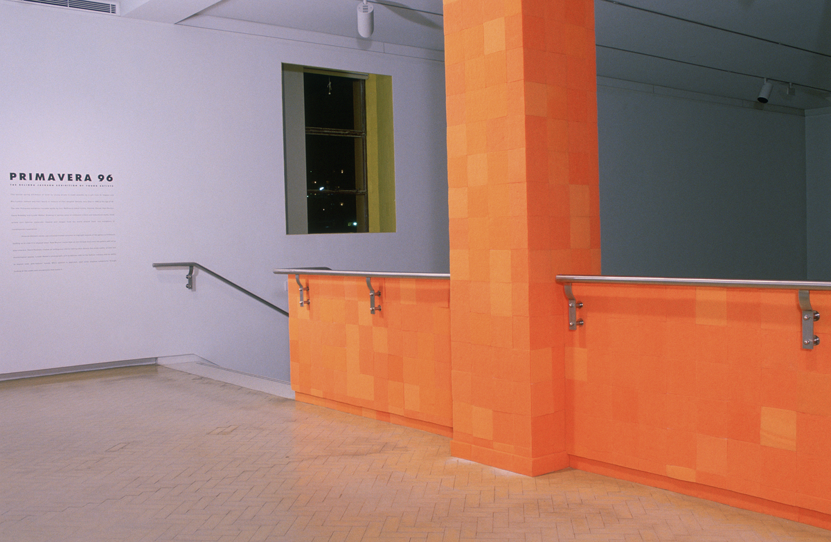 Primavera 1996: Young Australian Artists | Exhibitions | MCA Australia