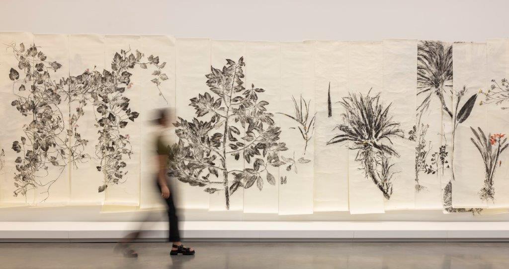 The National 4 Australian Art Now MCA Australia the-national-4-australian-art-now-mca-australia