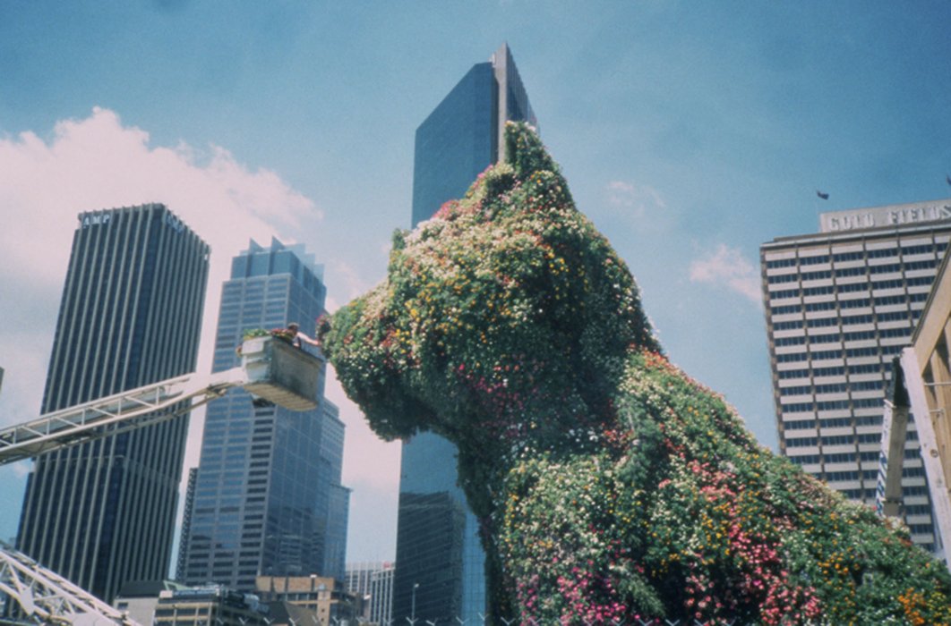 Puppy Jeff Koons Mca Australia