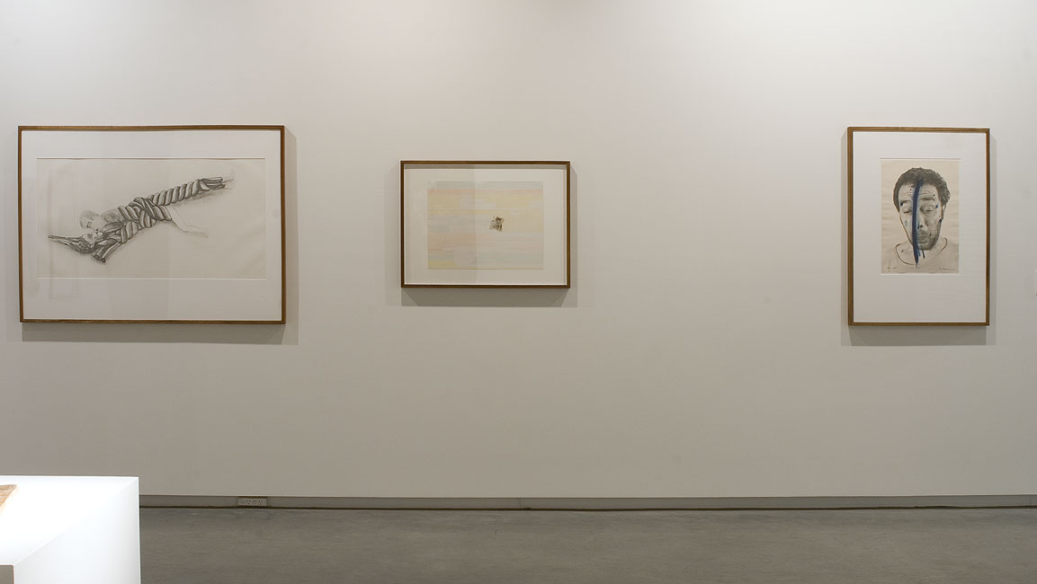 Julie Rrap Works MCA Collection: selected by Julie Rrap | Exhibitions | MCA Australia