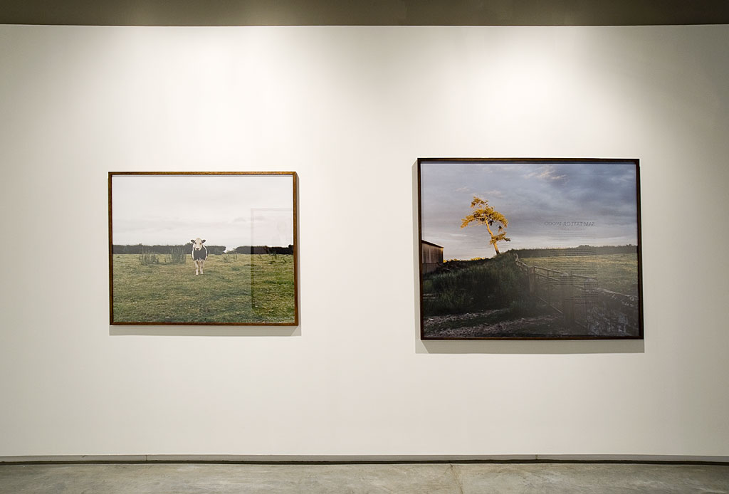 Sam Taylor-Wood | Exhibitions | MCA Australia